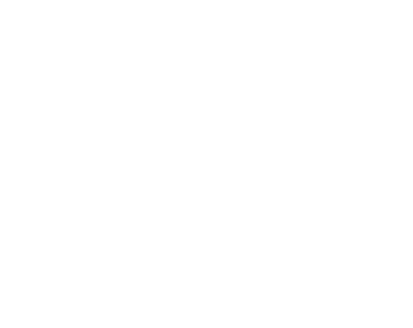 Dr. Leonardo Catizani